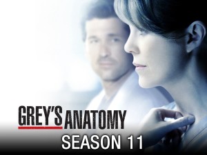 Phim Ca Phẫu Thuật Của Grey (Phần 11) - Grey's Anatomy (Season 11) (2014)