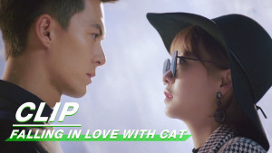 Phim Yêu Phải Nàng Meo Tinh - Falling in Love With Cat (2020)